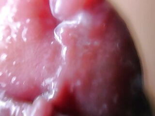 Extreme Macro Close Up Of Intense Cumshots Orgasm free video